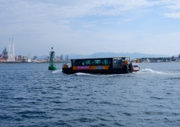 1597308065.jpg